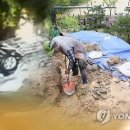 142㎜ 폭우로 비닐하우스 침수…법원 "전북도 책임 인정" 판결... 이미지