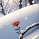 좋은문구 - 수성구 파동로 253 | 좋은문구