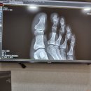 새사당의원 이미지