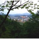 남산건강원 - 괴산군 읍내로 309 | 남산건강원