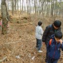 효탑초등학교 이미지