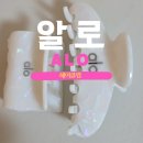 쥬피터헤어라인 | 지수 알로 Alo 헤어클립 헤어핀 악세서리 품절템 미국 구매 후기