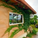 카페15도 이미지