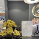 에스케이 허브(SK HUB)크리닝 | [부산 맛집 | 쿠우쿠우 부산 동래점] 내돈내산 주말 방문 (메뉴/주차/식사 후기)