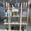 짱앤짠 | [대전 관저동 미용실] 대전 앤제이헤어 톤다운 염색 머리 잘하는 미용실 추천