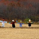 허수아비 이미지