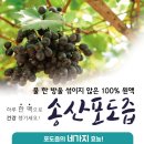 송산포도즙 1박스 28,000원(50포) 이미지