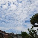 약선민물장어 이미지