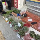 구역전사거리 이미지