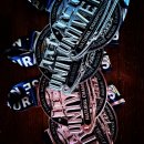 케틀벨아시아피트니스GYM 이미지