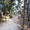 구리둘레길(2코스) | (아차산) 구리 둘레길 1코스