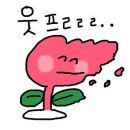 도코데이 이미지