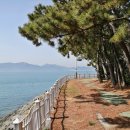 남해스포츠파크 풋살경기장 이미지