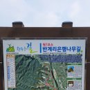 원주굽이길 원7코스 반계리은행나무길 이미지