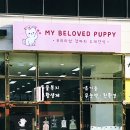 마이 비러브드 퍼피 이미지