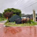 반구정습지 이미지