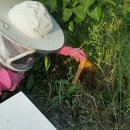 부성2농장 이미지