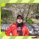 A&K갤러리 Daum카페