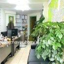 노원-상계-2081 이미지