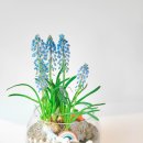 서울지향초등학교 이미지