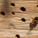 해시 호텔 이미지