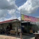 대성농원 | 천안 성거 거봉 맛집 대성농원 / 산지직송 택배 내돈내산 후기