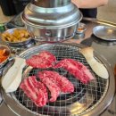 오성황제갈비살