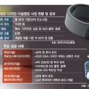 엘와이피
