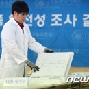 이랜드·이마트 제품서 발암·아토피 유발물질 검출 이미지