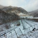 일출농장 이미지
