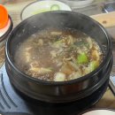 도그어바웃 | 동해 1박2일 여행(맛집/숙소/가볼만한곳 추천)