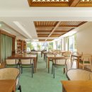 편안한 댕 이미지