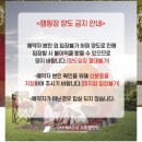 C18 | 부산캠핑장 삼락오토캠핑장 C15 C구역 노을맛집이네 내돈내산