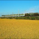 계절여행 이미지