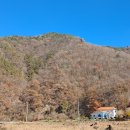 연시조＞ 고향집 靑雲 이미지