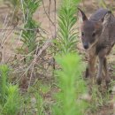 (주)디지탈캠프 이미지