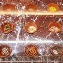디저트앤스위트노엘 | 신세계 강남점 스위트파크 달콤한 디저트 에맥앤볼리오스 후기