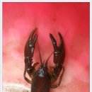 삼태농장 이미지