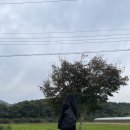 에이미션 크로스백 여행용으로 휘뚜루마뚜루 들고 메고 다닌 후기