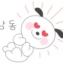 능안초등학교 이미지
