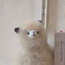 평택안경만들기 | [무드이너프]평택 카페 후기