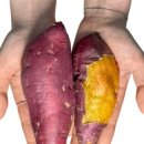 상중농장 이미지