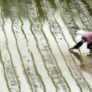 농부의 아침 이미지