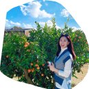 소풍농장 Daum카페