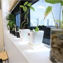 박쌤오름수학학원 | 중등 고등학생을 위한 다산동수학 맞춤형 학습, 더오름 영어수학 학원 후기