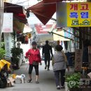 순조농장 이미지