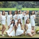 네이쳐컬렉션 경북대점 이미지