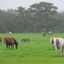 한라산농장 이미지