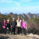 진안(鎭安) 구봉산(九峰山:1002M)을 가다. 이미지