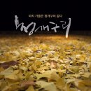 서예&캘리 이미지